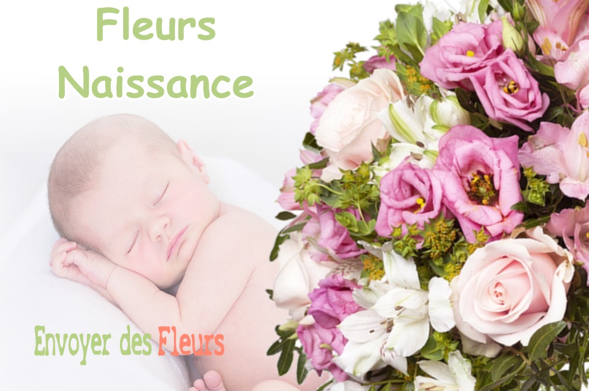 lIVRAISON FLEURS NAISSANCE à CASTELMAUROU