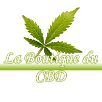 LA BOUTIQUE DU CBD CASTELMAUROU 